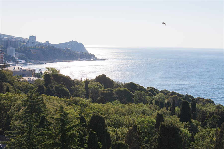 Фото Парк Авеню