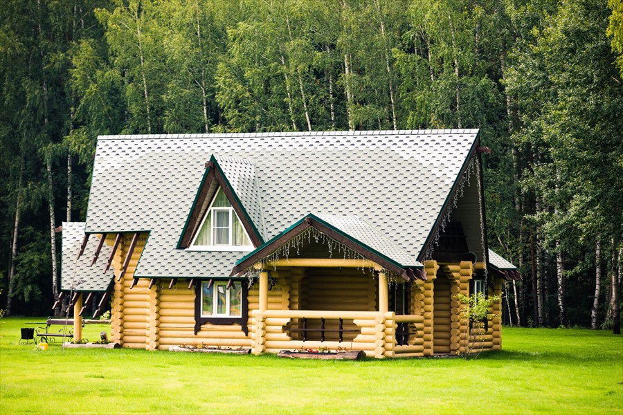 Фото Фестиваль