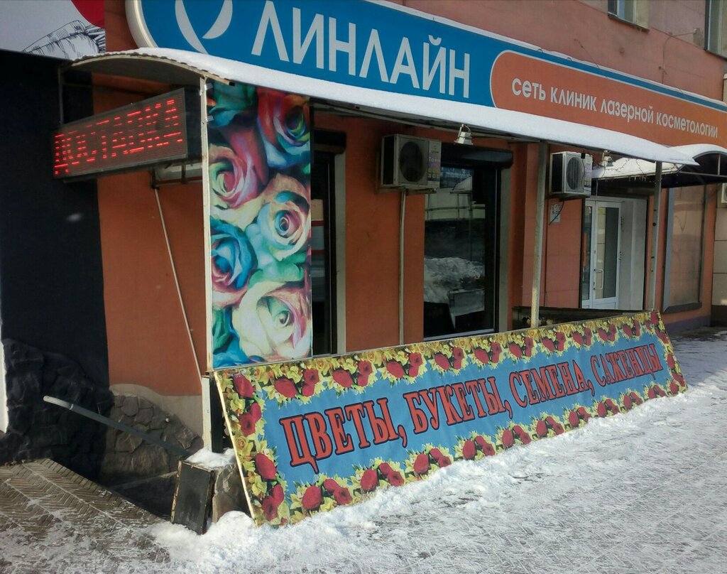 Магазин Дикий Шоп