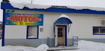 Motor (Mayakovskogo Street, 14к6), auto parts and auto goods store