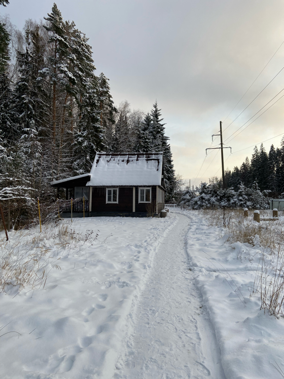 Фото Будда дом