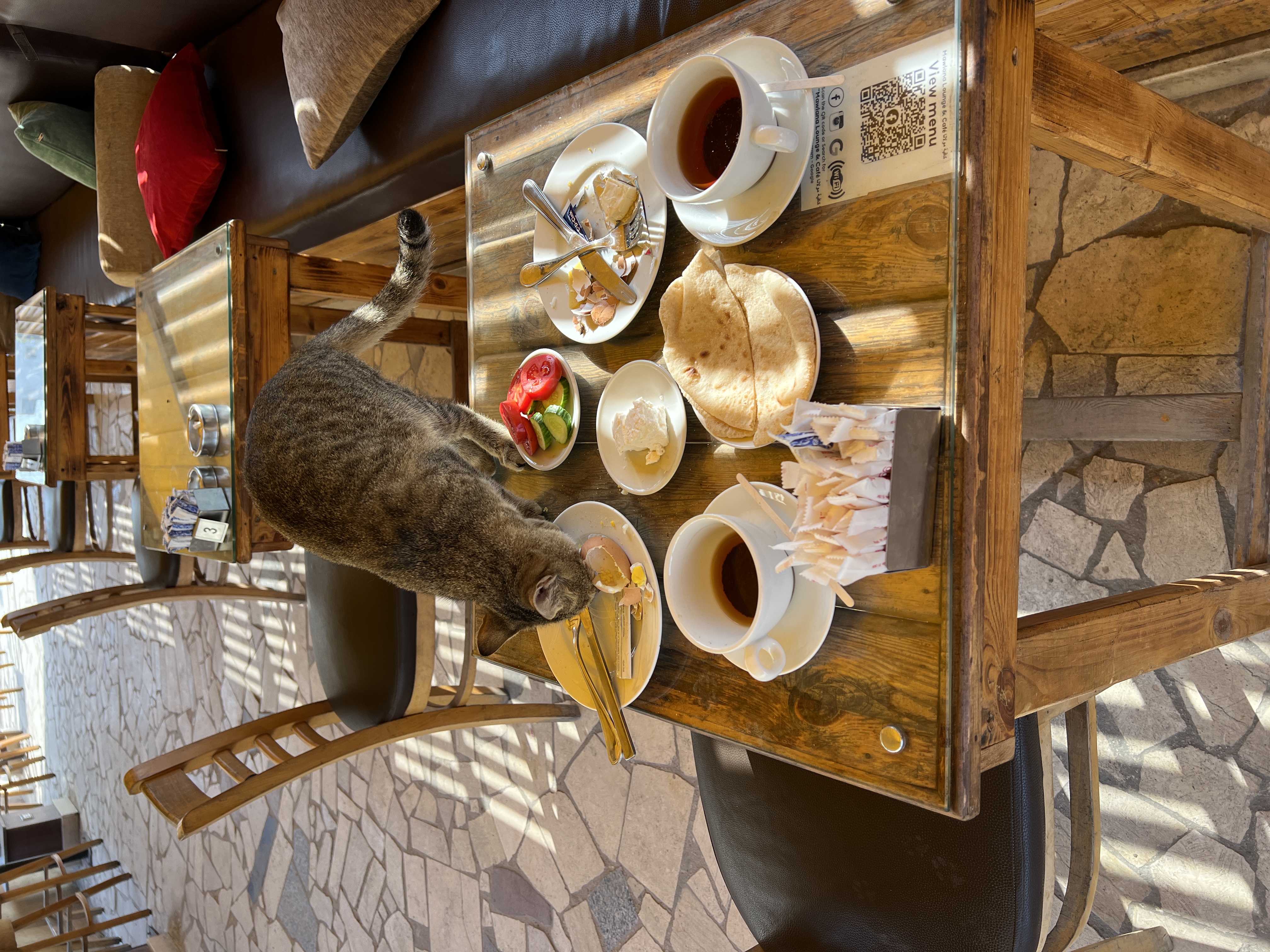 Фото City Palace Hotel