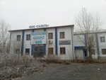 Kamaz (ulitsa Pushkina, 73Б), tienda de repuestos y artículos para automóviles
