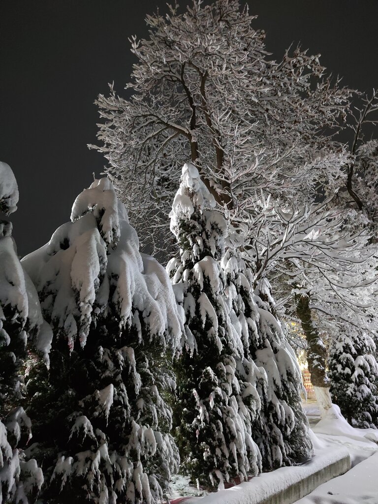 Madaniyat va istirohat bog‘i Himikov Parkı, Chirchiq, foto