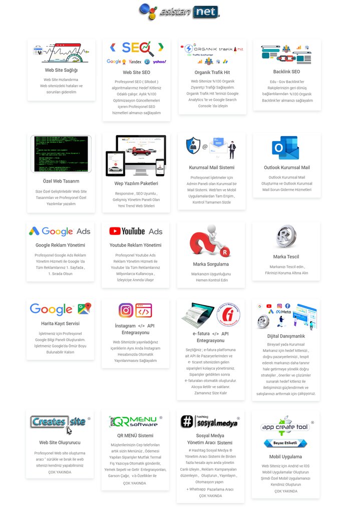 Web tasarım hizmetleri Asistan Net Reklam ve Yazılım, Aydın, foto