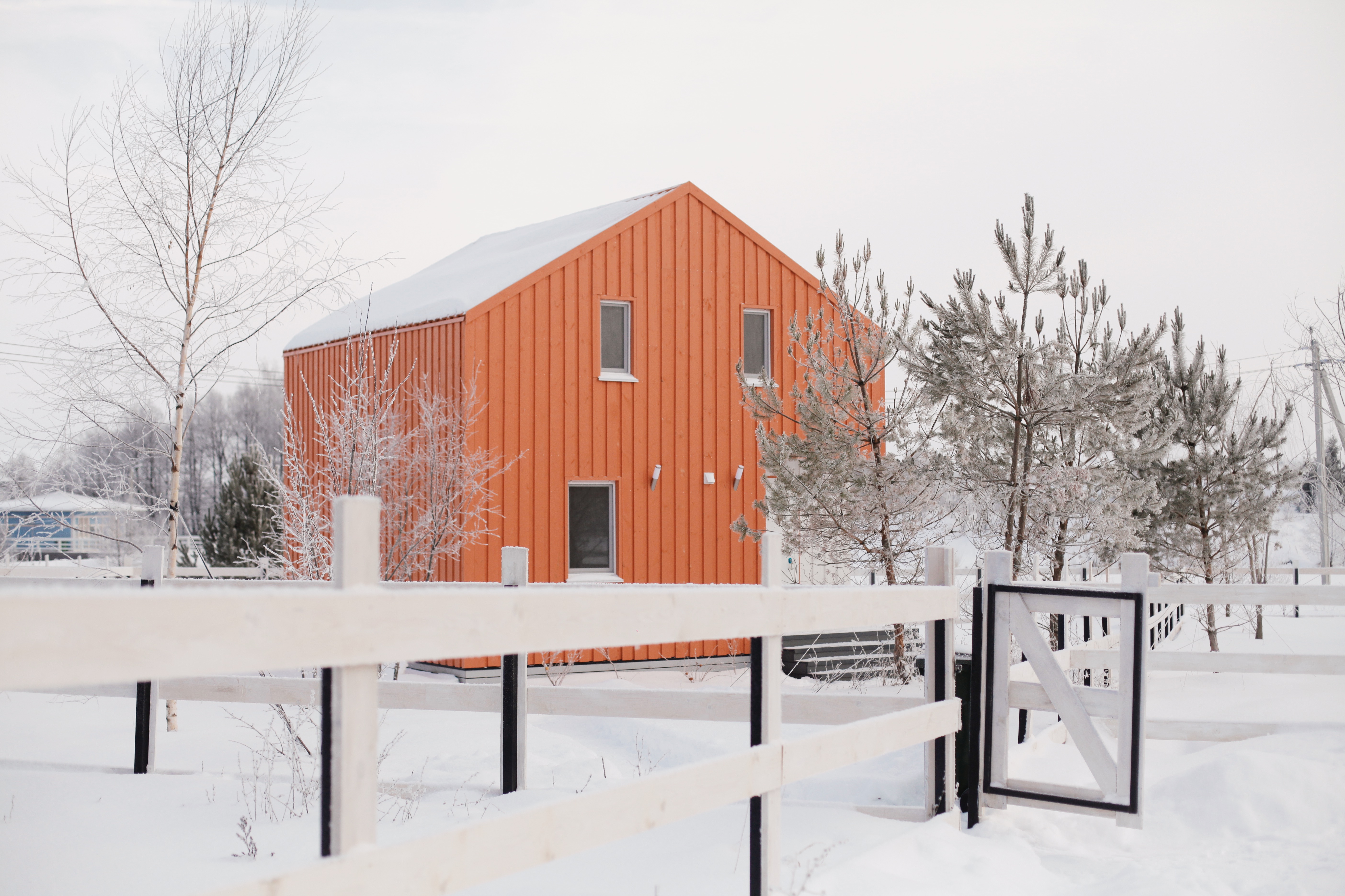 Фото Болотов Дача