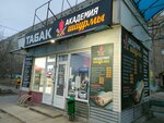 Академия шаурмы (Nikolaya Ostrovskogo Street, 154В), fast food