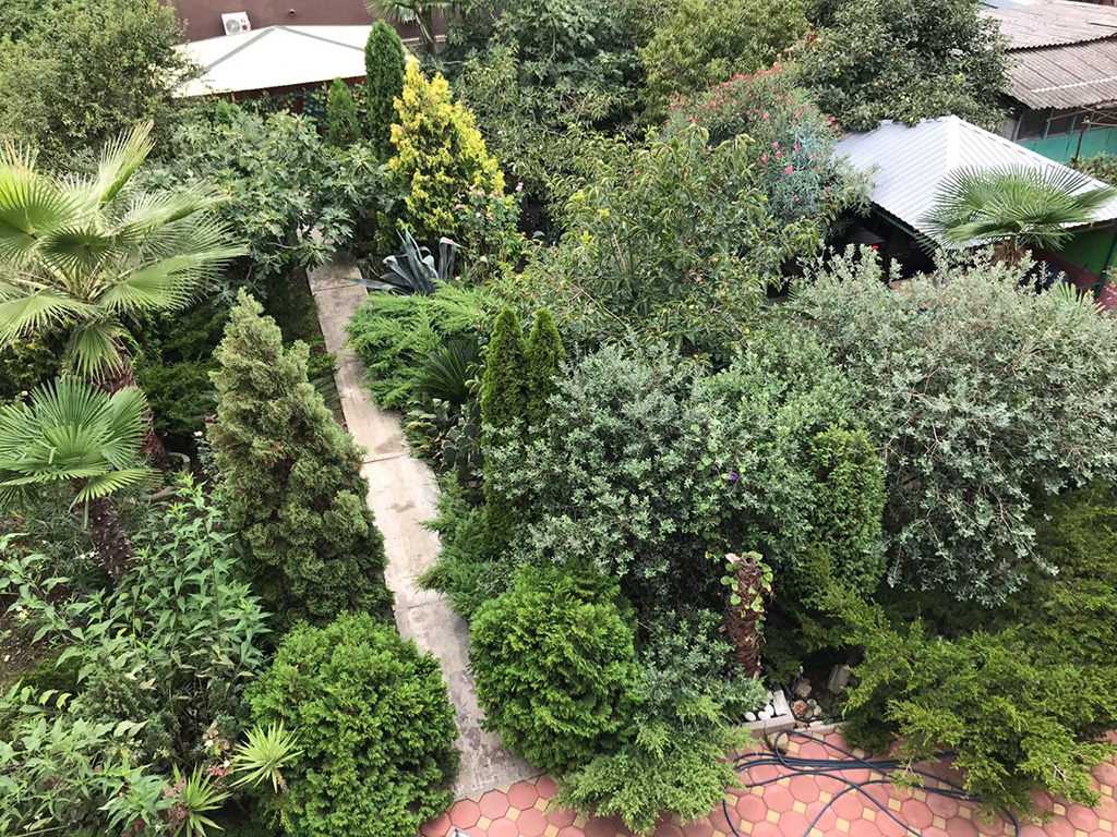 Фото НикОль