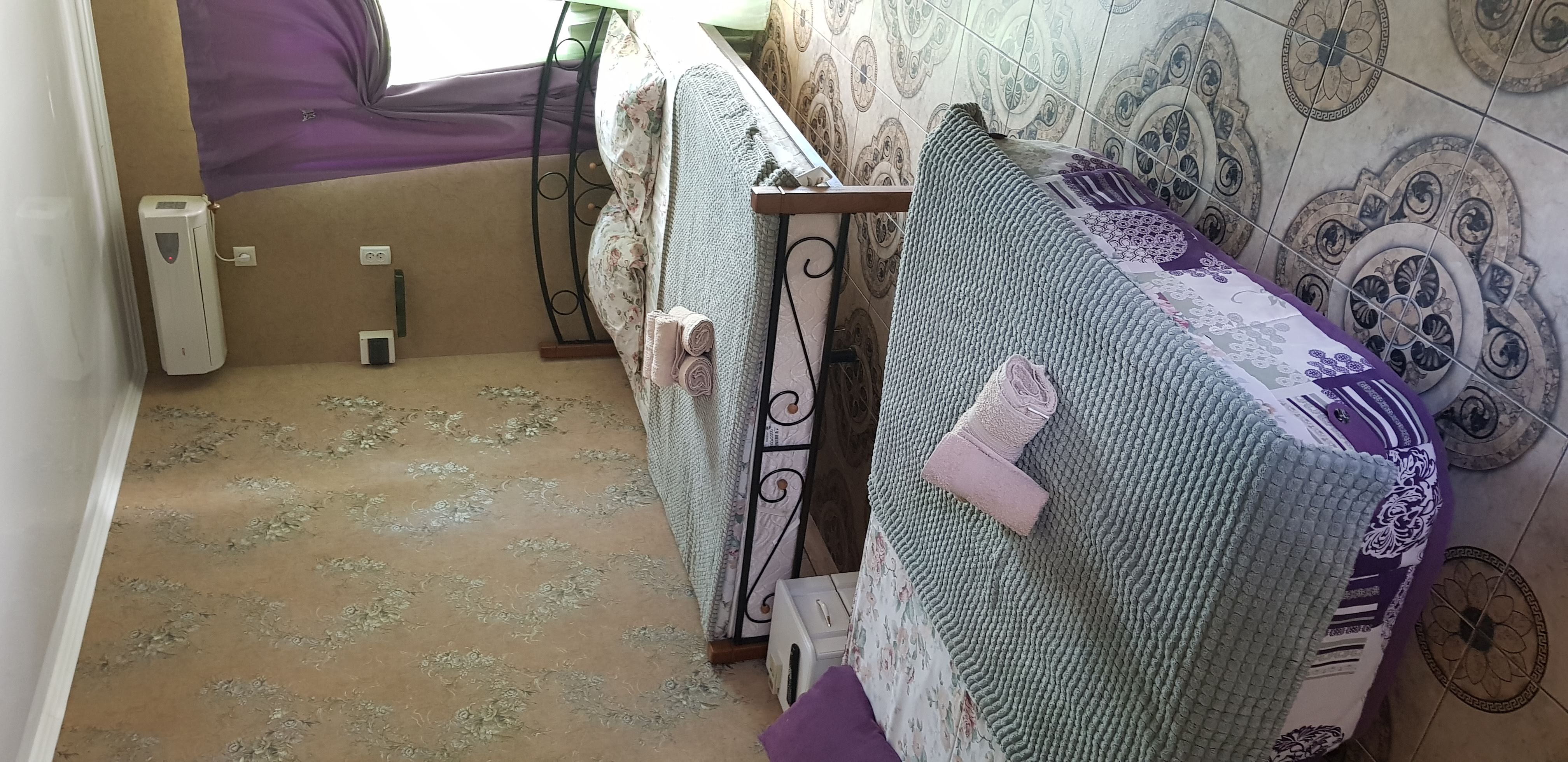 Фото Сапсан