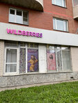 Wildberries (Lenskaya Street, 19к1) ، نقطة تسليم