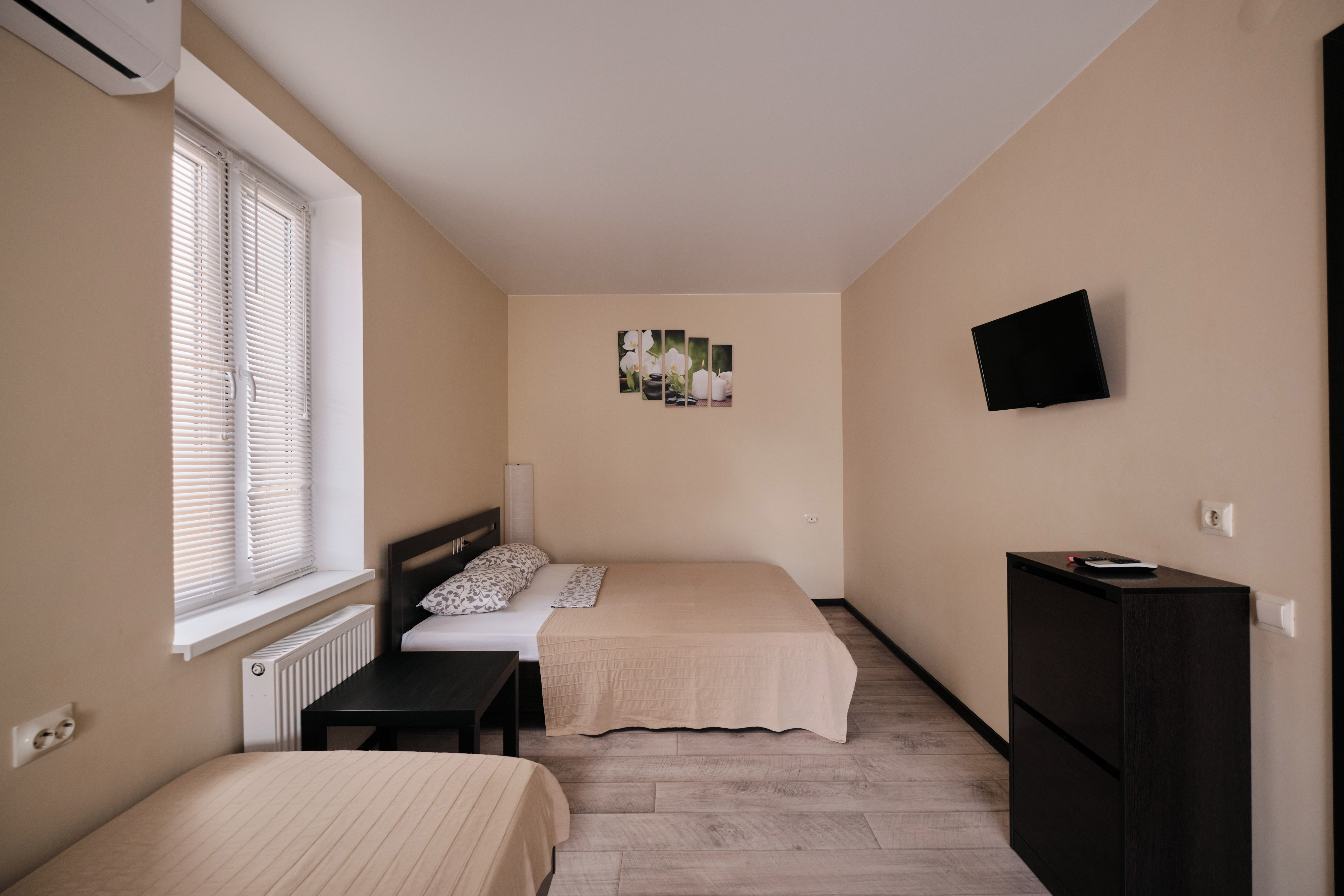 Фото Солнечная орхидея