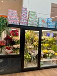 Herbarium (Khimki, mikrorayon IKEA, 1), flower shop