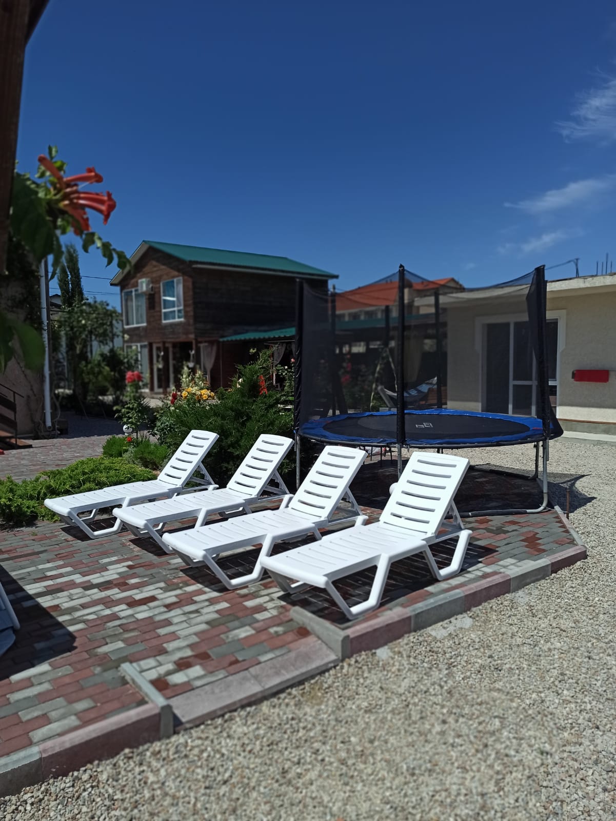 Фото Хороший гость