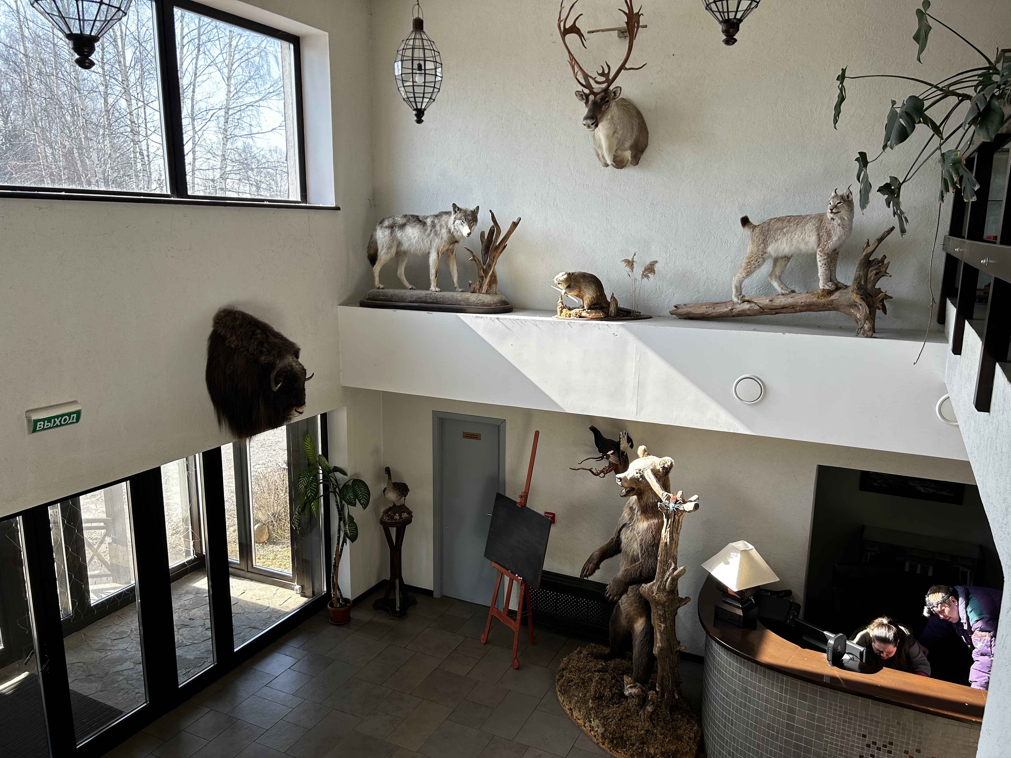 Фото Grand Adventure