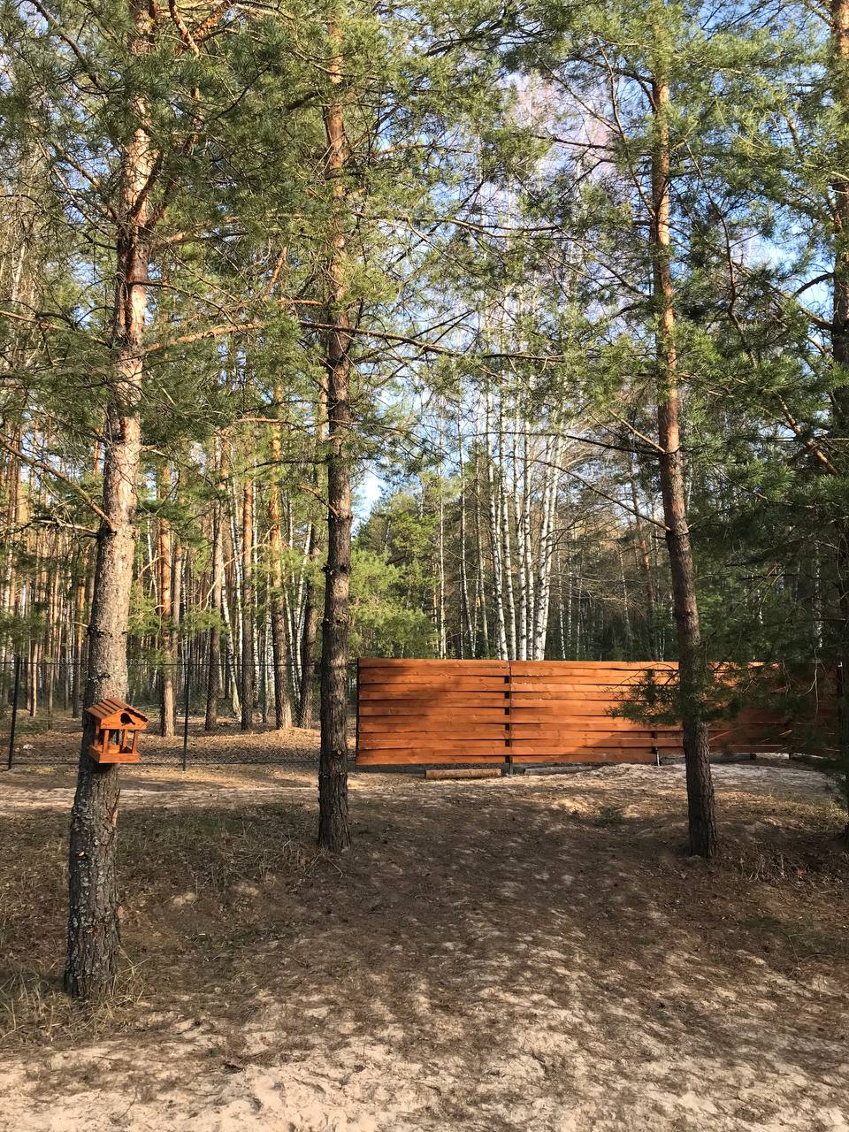 Фото Чик-чирик