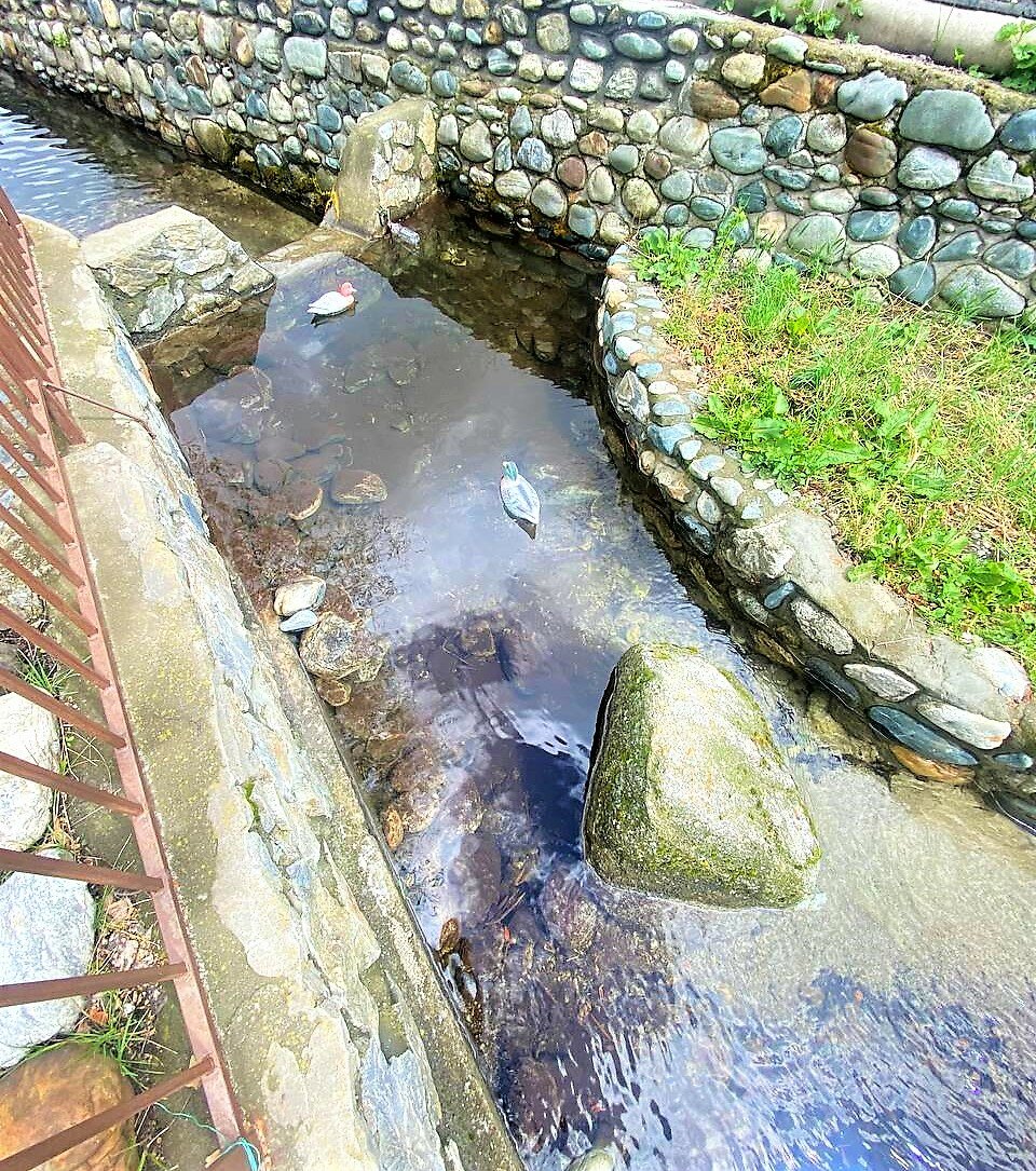 Фото Гостевой дом Ирбис