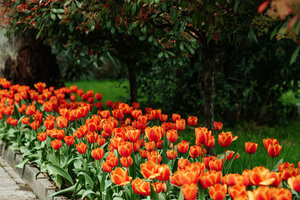 Южное взморье