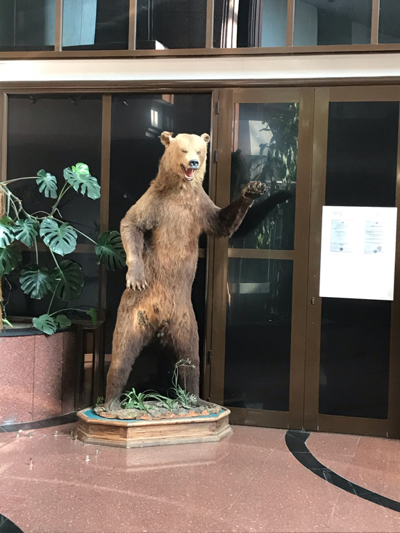 Фото Президент