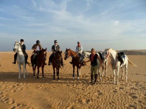 Кемпинг Desert Retreat Camp
