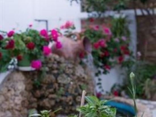 Фото Studios Tasia