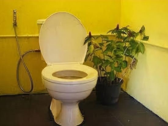 Фото Dorm Des Fleurs Hostel