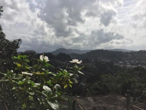 Фото Sunny Hill Residence, Kandy
