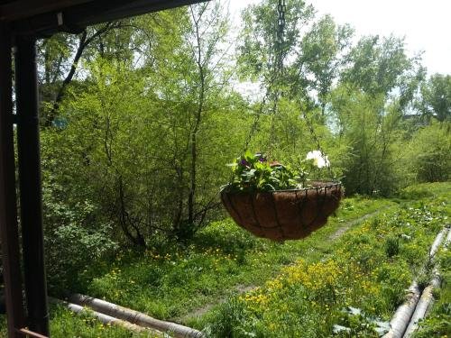 Фото 12 Месяцев