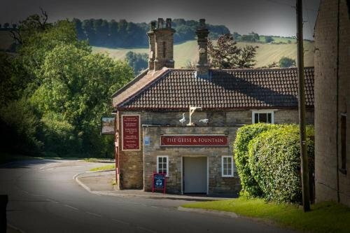 Hotel The Geese and Fountain, England, photo