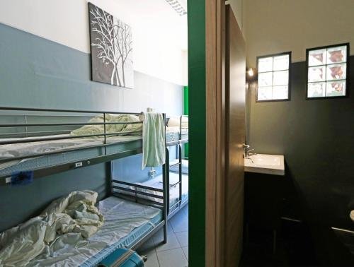 Фото Koala Hostel