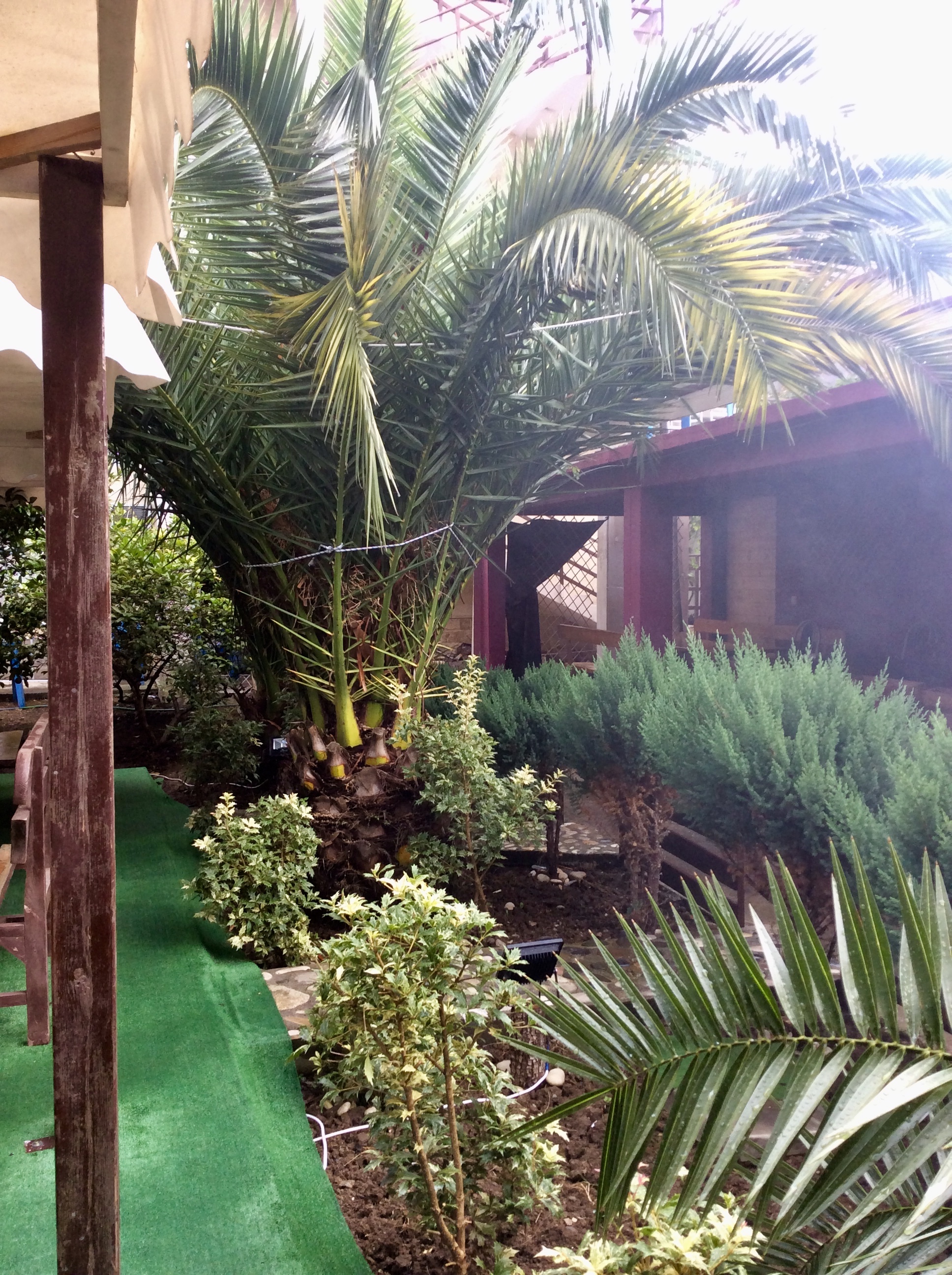 Фото Гостевой дом у Руслана