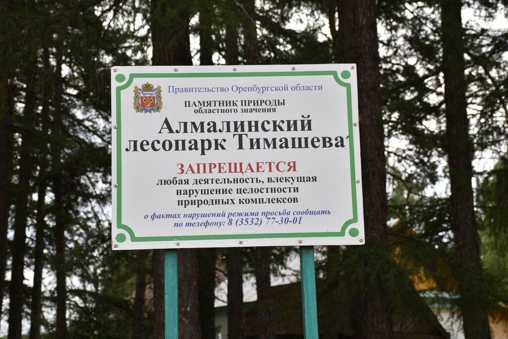 الطبيعة Алмалинский лесопарк Тимашева ، مقاطعة أورينبورغ، صورة