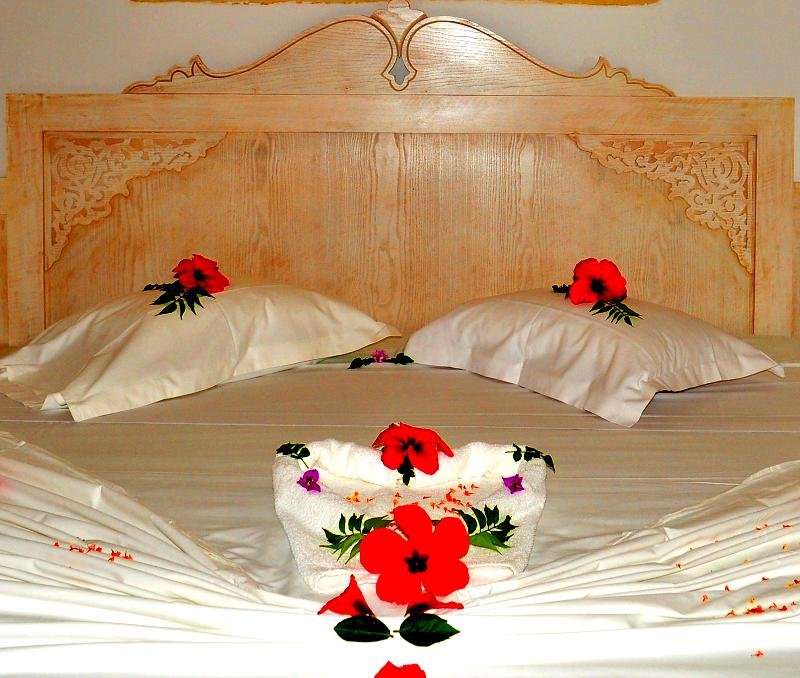 Фото Zodiac Hotel