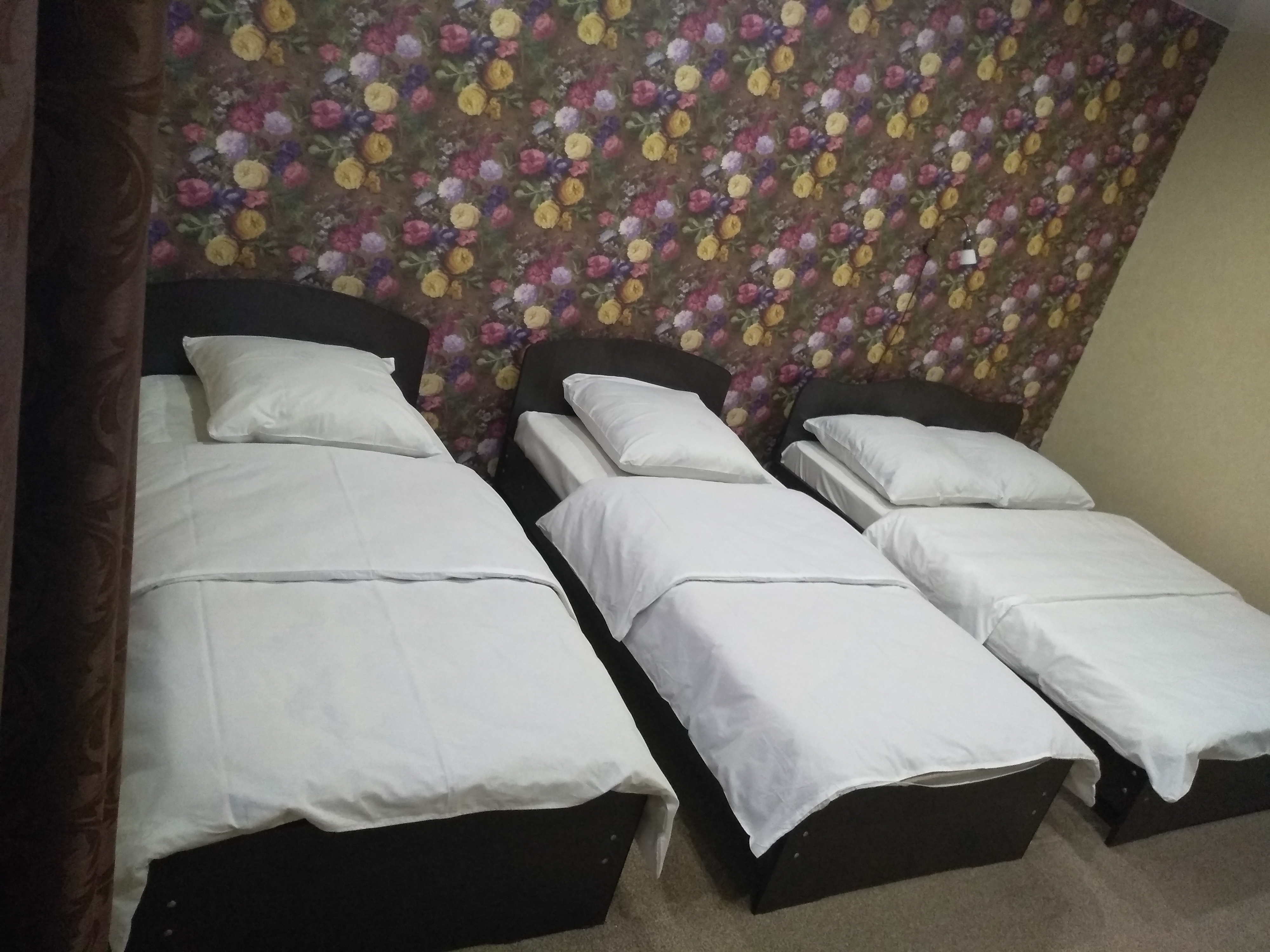 Фото Эдельвейс