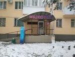 Wildberries (ulitsa Vasilyeva, 29), point of delivery