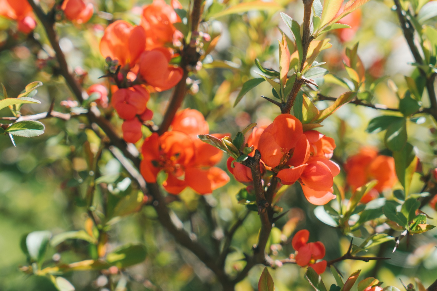 Фото Александръ Club