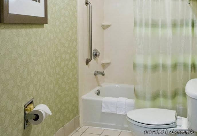 Фото SpringHill Suites by Marriott Sarasota Bradenton
