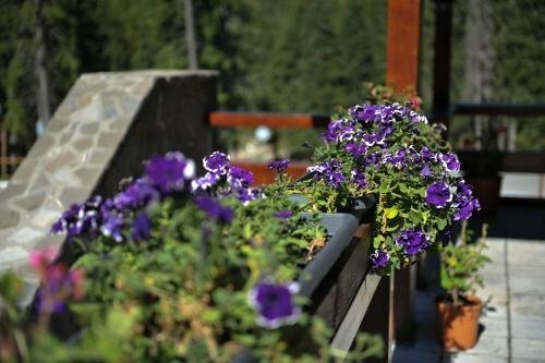 Pestera Cota 1610 Yandex Maps