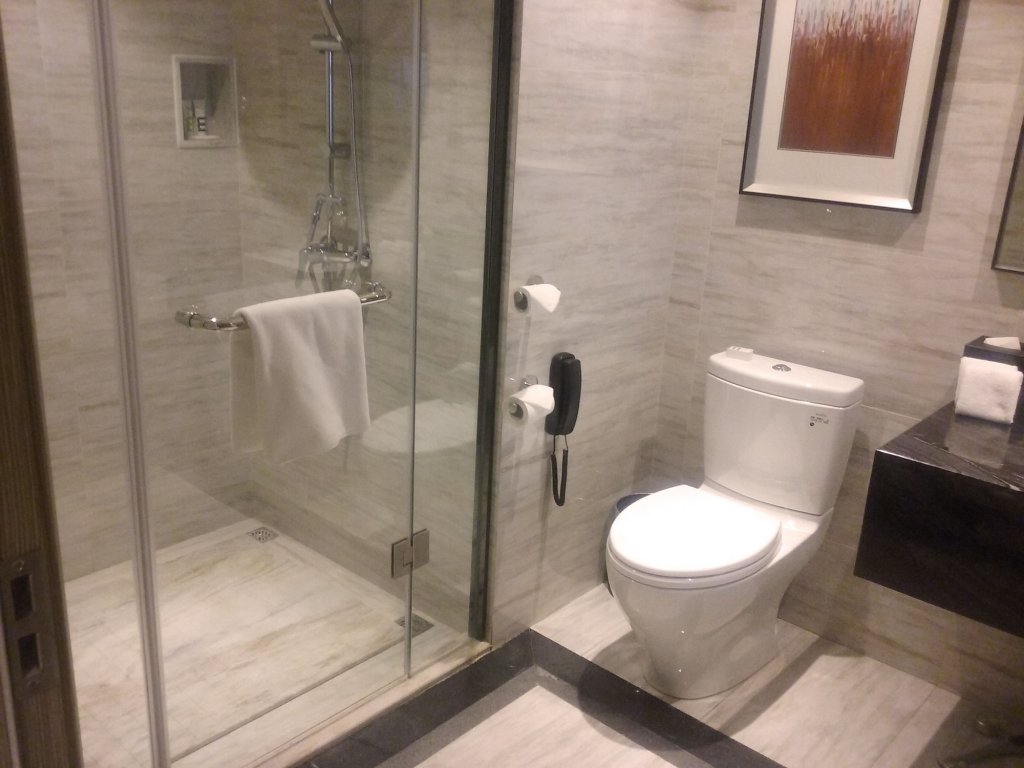 Фото Hilton Garden Inn Wuhan Hankou