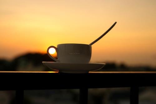 Фото Thanh Vy Hotel