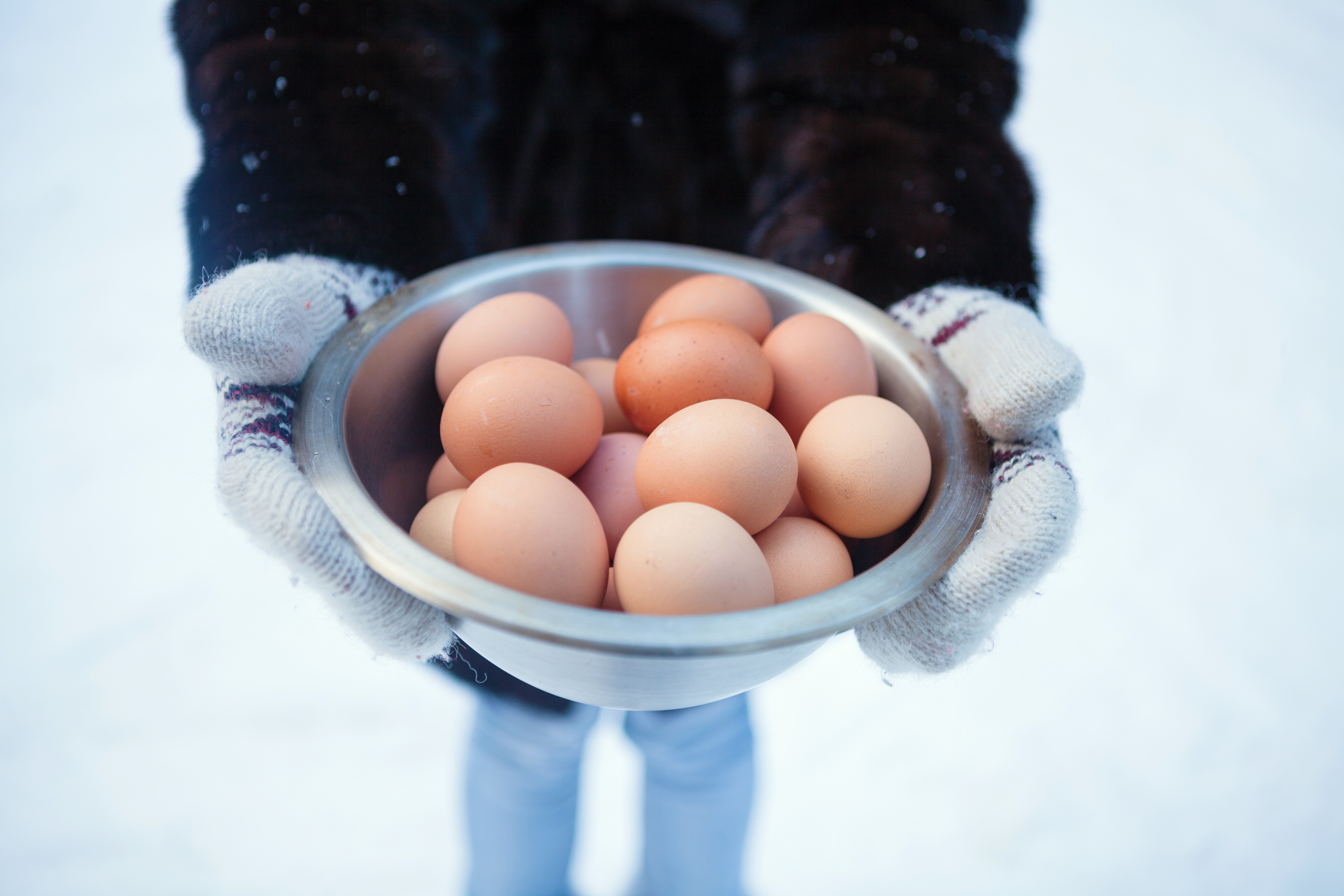 Фото Арт-Усадьба Веретьево