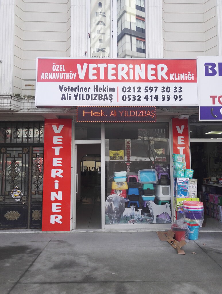 Veteriner klinikleri Özel Arnavutköy Veteriner Kliniği Hek. Ali Yıldızbaş, Arnavutköy, foto