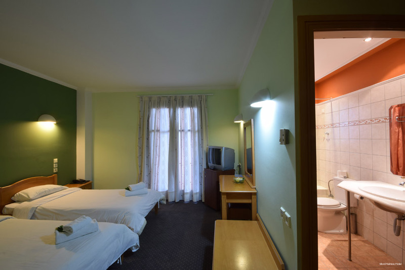 Фото Mont Helmos Hotel