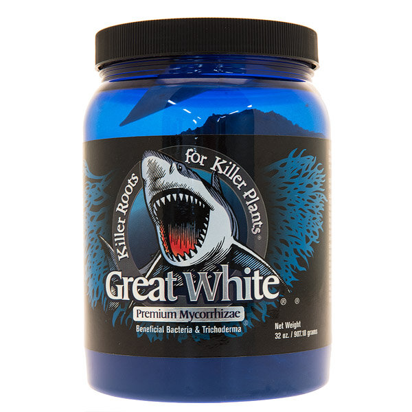 Gardening shop Oldgrower, Moscow, photo