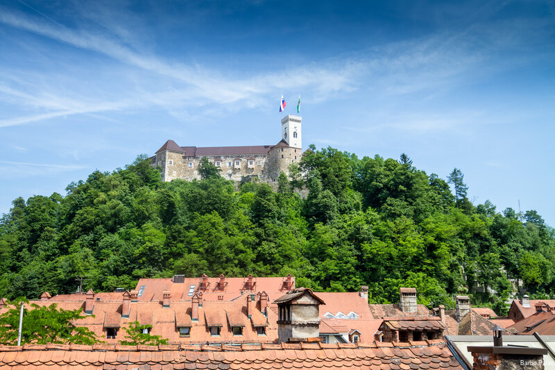 Гостиница Barbo Palace в Любляне