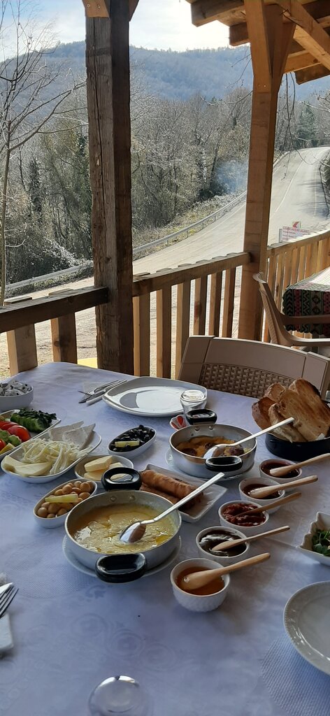 Cafe Livadi Picnic Area, Kartepe, photo