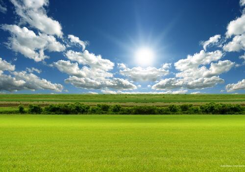 Фото Villa Adriatica Ambienthotels