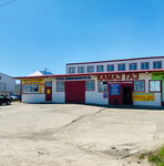 Garant-avto (Naberezhnye Chelny, Starosarmanovskaya ulitsa, 15С), auto parts and auto goods store