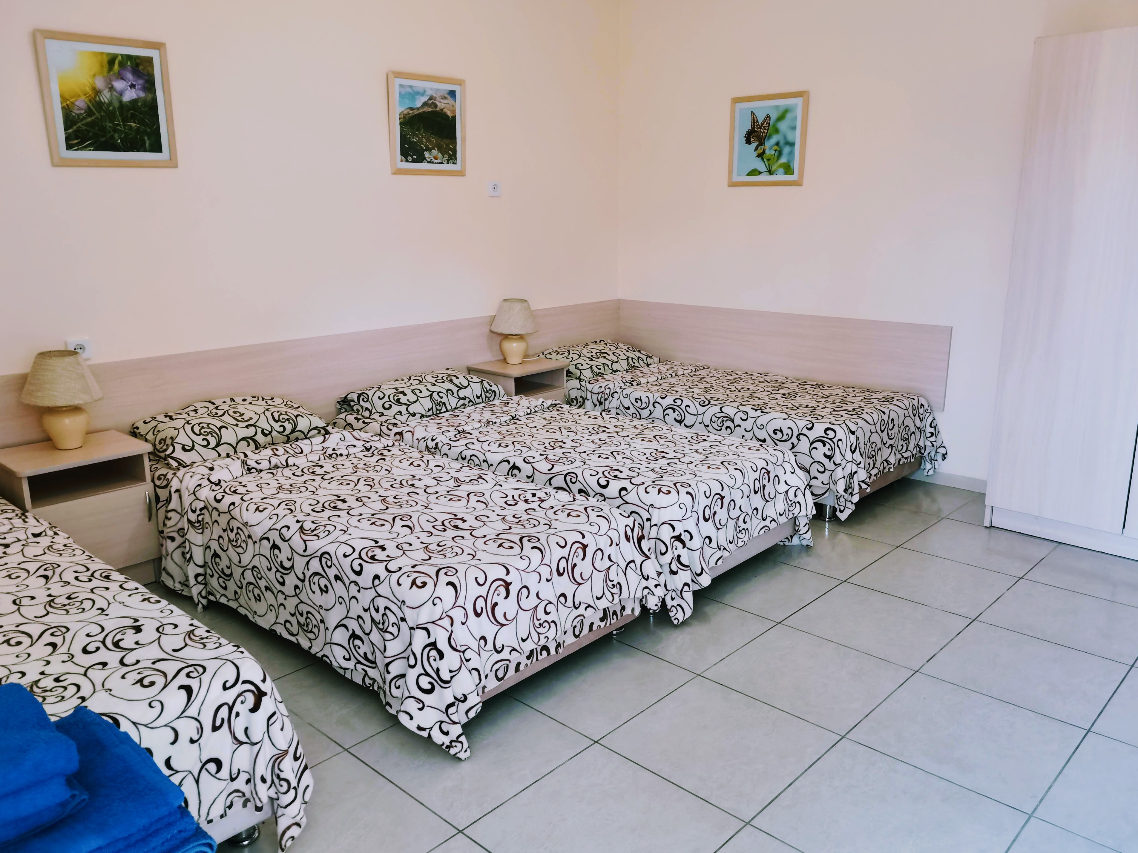 Фото Ракушка Блага