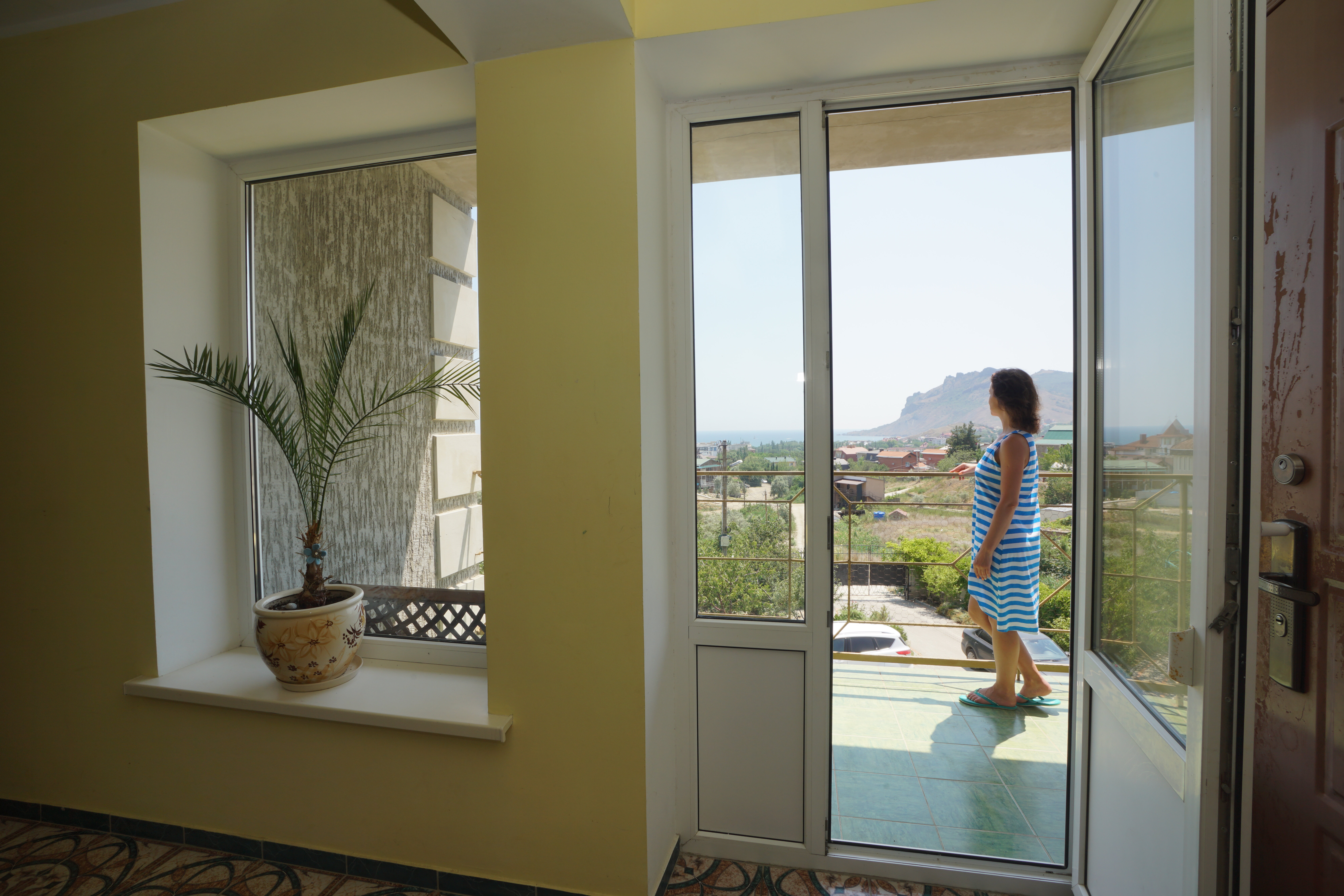 Фото Эдельвейс