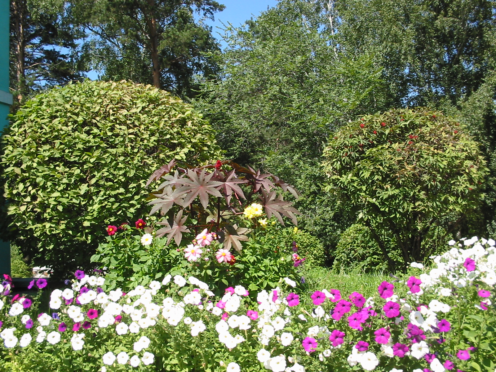 Фото Ангара